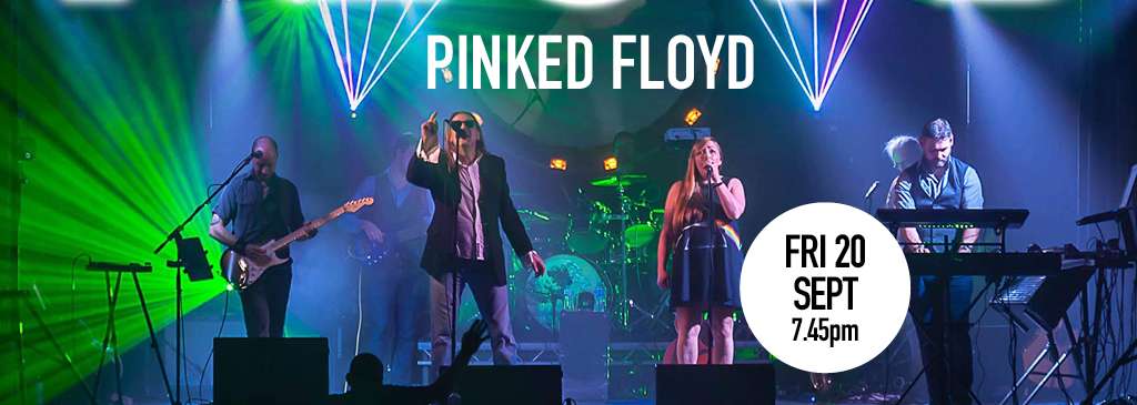 Pinked Floyd performing